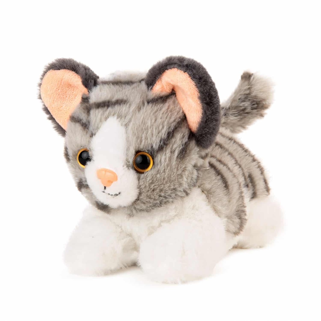 Легнало коте