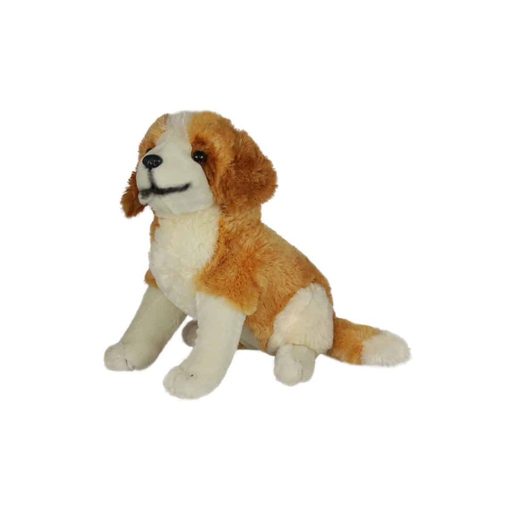 Куче| 2 вида