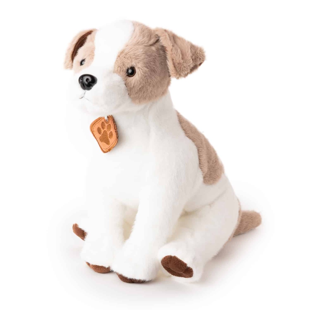 Куче Джак Ръсел