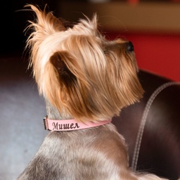 [L000] Кучешка каишка с гравиран надпис