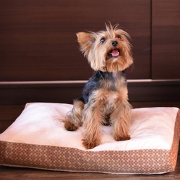 [099158] Легло за домашни любимци - ВЪЗГЛАВНИЦА