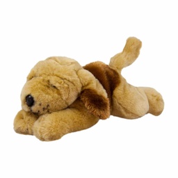 [070228] Куче басет