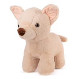 [013201] Чихуа хуа 