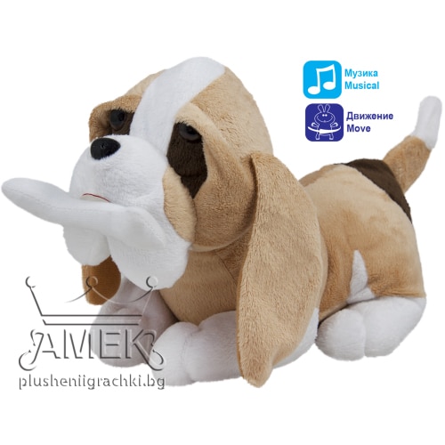 Гладни животни маймуна или куче