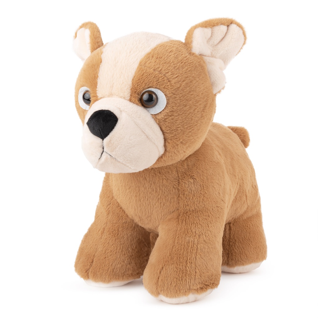 Куче бежово