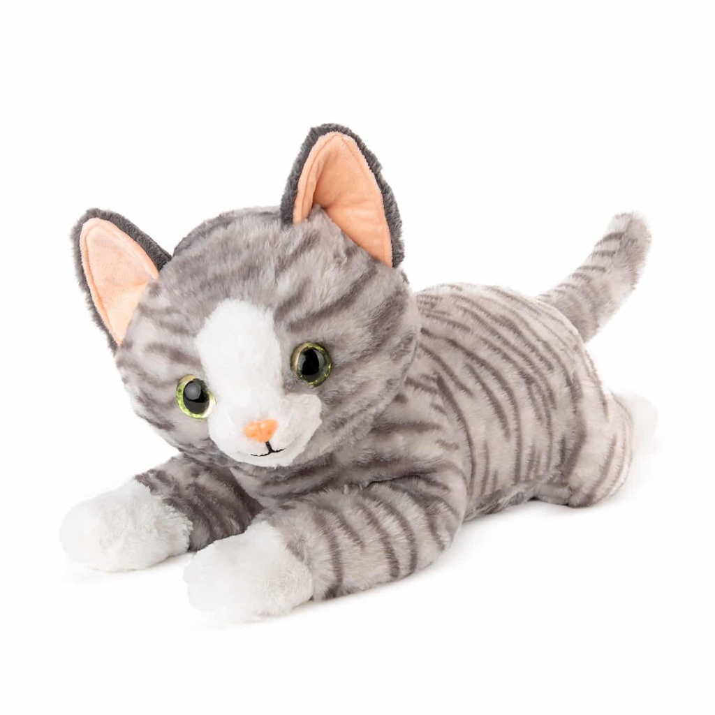 Легнало коте