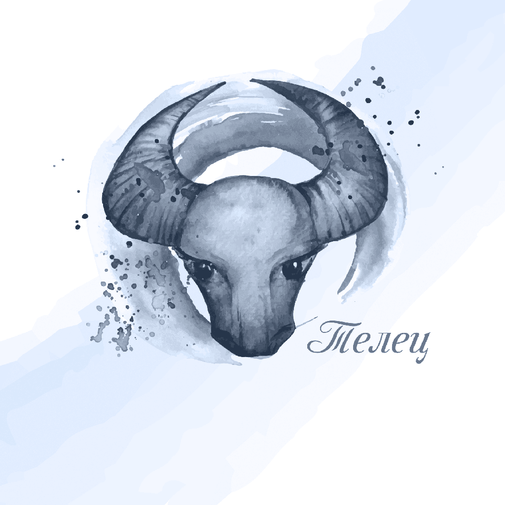 Картина канава- Зодия Син Телец<span> - </span>40см x 40см