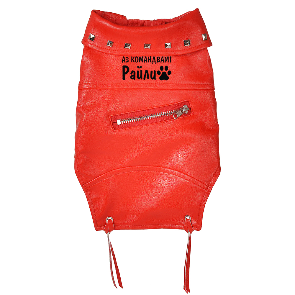 Кучешко кожено яке - Аз командвам