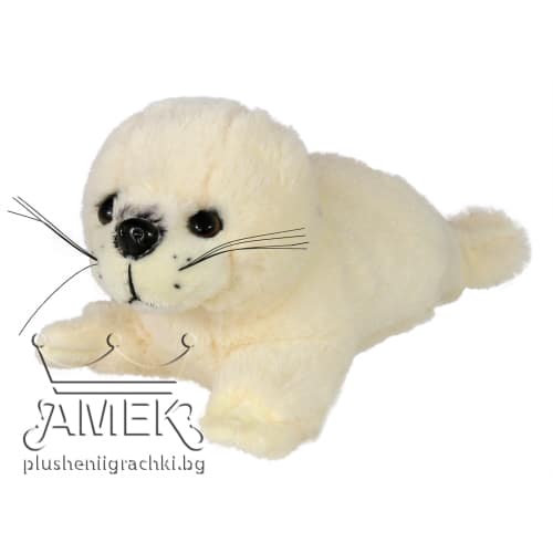 Тюленче| 2 цвята