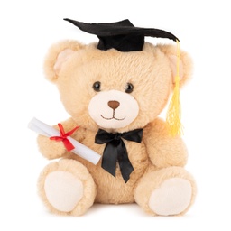 [060128] Мече абитуриент - Бежов