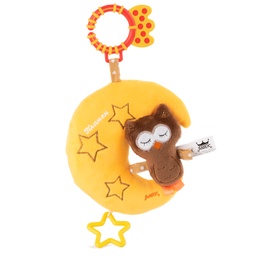 [090610] Латерна луна с бухал